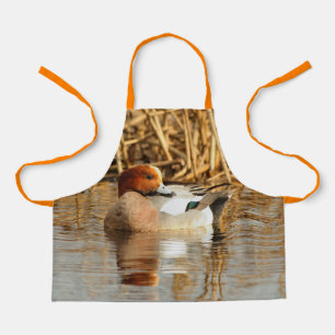 Handsome Stranger Eurasian Wigeon Duck aan de Pond Schort