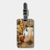 Handsome Stranger in Town Eurasian Wigeon Bagagelabel (Voorkant verticaal)