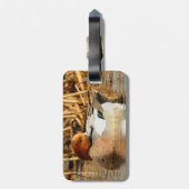 Handsome Stranger in Town Eurasian Wigeon Bagagelabel (Achterkant verticaal)