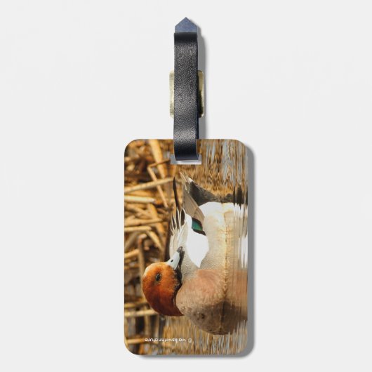 Handsome Stranger in Town Eurasian Wigeon Bagagelabel (Achterkant verticaal)