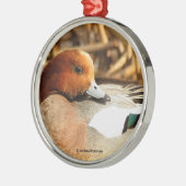 Handsome Stranger in Town Eurasian Wigeon Duck Metalen Ornament (Links)