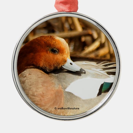 Handsome Stranger in Town Eurasian Wigeon Duck Metalen Ornament (Voorkant)