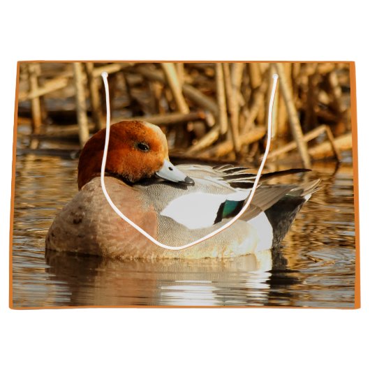 Handsome Stranger in Town Eurasian Wigeon Large Cadeautasje (Voorkant)