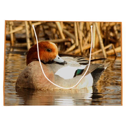 Handsome Stranger in Town Eurasian Wigeon Large Cadeautasje (Achterkant)
