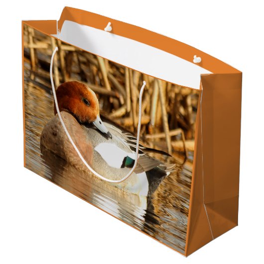 Handsome Stranger in Town Eurasian Wigeon Large Cadeautasje (Achterkant Gekanteld)