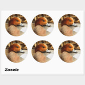 Handsome Stranger in Town Eurasian Wigeon Ronde Sticker (Vel)