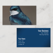 Handsome Tree Swallow: Bird on a Wire Visitekaartje (Voorkant / Achterkant)