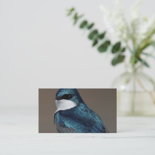 Handsome Tree Swallow: Bird on a Wire Visitekaartje (Staand voorkant)