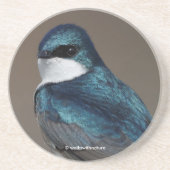 Handsome Tree Swallow: Bird on a Wire Zandsteen Onderzetter (Voorkant)