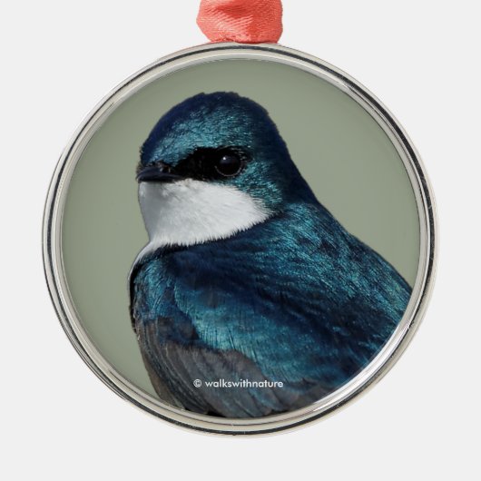 Handsome Tree Swallow Blue Songbird Metalen Ornament (Voorkant)