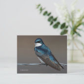 Handsome Tree Swallow Songbird Bird op Wire Briefkaart (Staand voorkant)