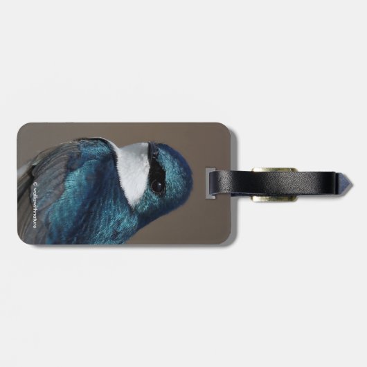 Handsome Tree Swallow Songbird on a Wire Bagagelabel (Achterkant horizontaal)