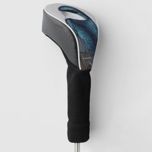 Handsome Tree Swallow Songbird on a Wire Golfheadcover (Schuin)