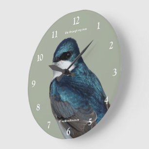 Handsome Tree Swallow Songbird on a Wire Grote Klok
