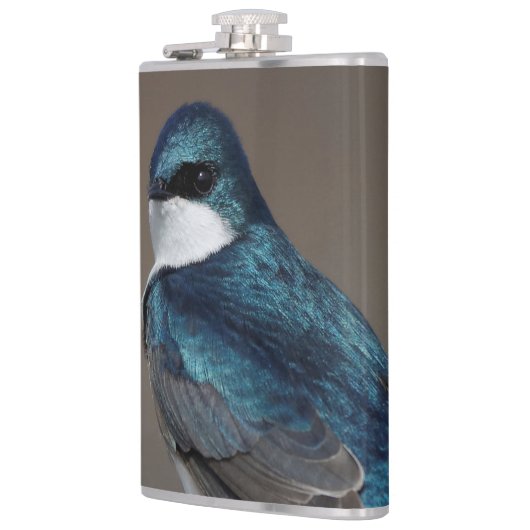 Handsome Tree Swallow Songbird on a Wire Heupfles (Links)