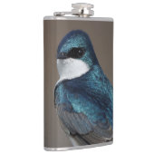 Handsome Tree Swallow Songbird on a Wire Heupfles (Rechts)