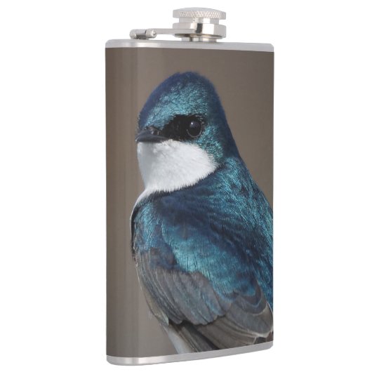 Handsome Tree Swallow Songbird on a Wire Heupfles (Rechts)