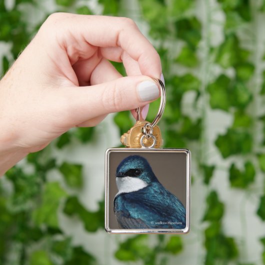 Handsome Tree Swallow Songbird on a Wire Sleutelhanger (Hand)