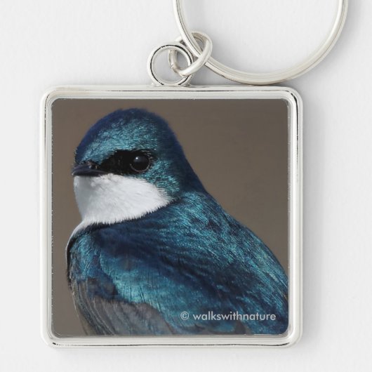 Handsome Tree Swallow Songbird on a Wire Sleutelhanger (Voorkant)