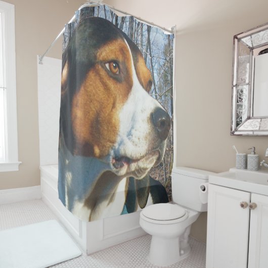 Handsome Treeing Walker Coonhound Douchegordijn (In situ)