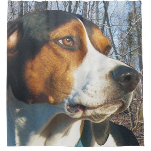 Handsome Treeing Walker Coonhound Douchegordijn (Voorkant)
