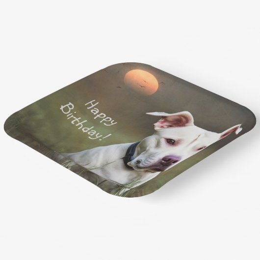 Handsome White Pitbull Birthday Papieren Bordje (Gebogen)