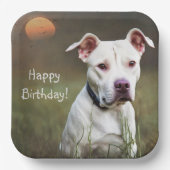Handsome White Pitbull Birthday Papieren Bordje (Voorkant)