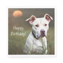 Handsome White Pitbull Birthday