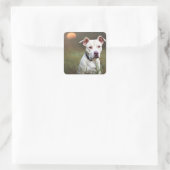 Handsome White Pitbull Birthday Vierkante Sticker (Tas)