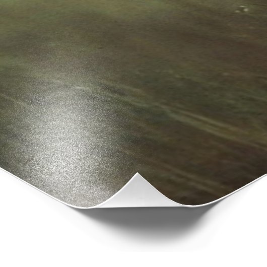 Handsome White Pitbull Foto Afdruk (Hoek)