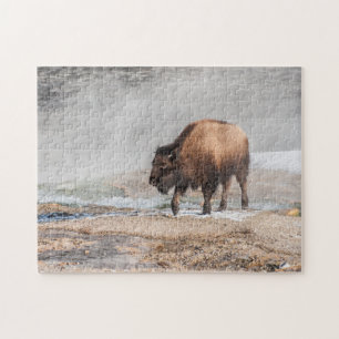 Handsome Young Bison of Buffalo Legpuzzel