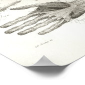  handspieren Ligamenten Anatomie Afdrukken Poster (Hoek)