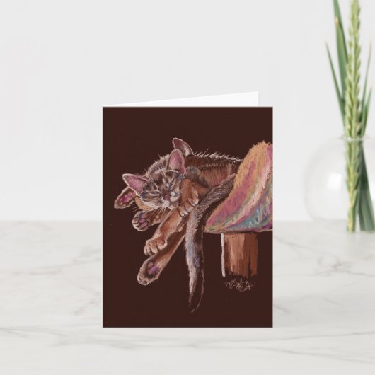 "Handtastelijk wordt" het Sluimeren Katten Kaart (Voorkant)