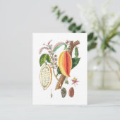 Handtekening Cacao -  kunst Briefkaart (Staand voorkant)