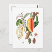 Handtekening Cacao -  kunst Briefkaart (Voorkant / Achterkant)