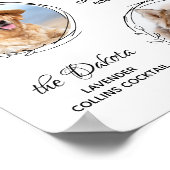 Handtekening Cocktails Pet Wedding Drink Dog Bar Poster (Hoek)