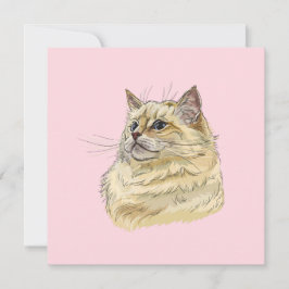 Handtekening grappige fluffy Ragdoll-kat