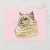 Handtekening grappige fluffy Ragdoll-kat Briefkaart (Voorkant)