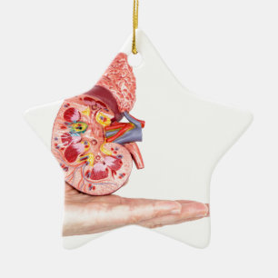 Handtekening model met binnenkant van de menselijk keramisch ornament