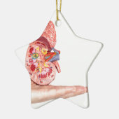 Handtekening model met binnenkant van de menselijk keramisch ornament (Links)