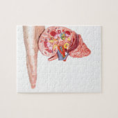 Handtekening model met binnenkant van de menselijk legpuzzel (Horizontaal)