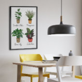 Handtekening Planten wandkunst Canvas Afdruk