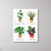 Handtekening Planten wandkunst Canvas Afdruk (Voorkant)