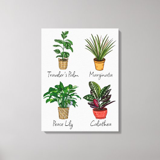 Handtekening Planten wandkunst Canvas Afdruk (Voorkant)