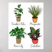 Handtekening Planten wandkunst Poster (Voorkant)