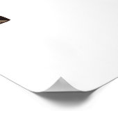 Handtekening Tekenkleur Inative American Indian He Poster (Hoek)