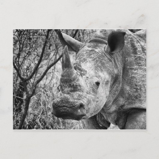 Handvat Briefkaart (Voorkant)