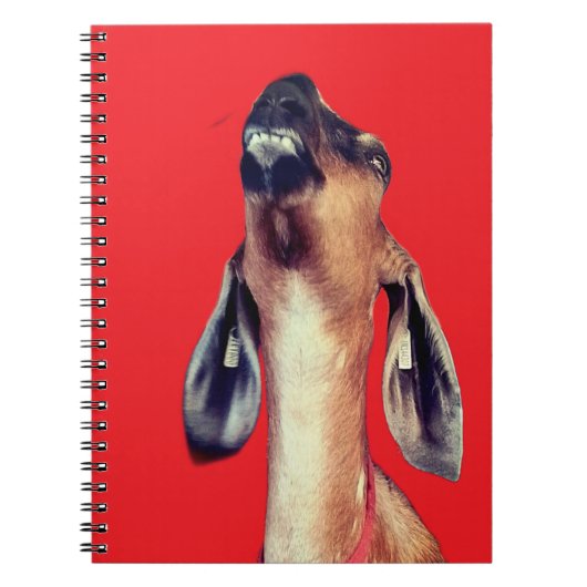 Handvat Notitieboek (Voorkant)