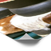 Handvaten, met krultrom, Livingston, Zambia Poster (Hoek)