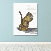 Handverf Bedreigde Uil Print Canvas (Insitu (Houten vloer))